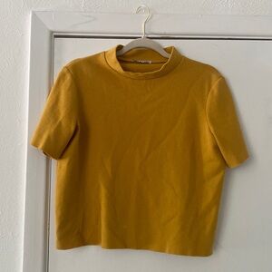 Zara Top